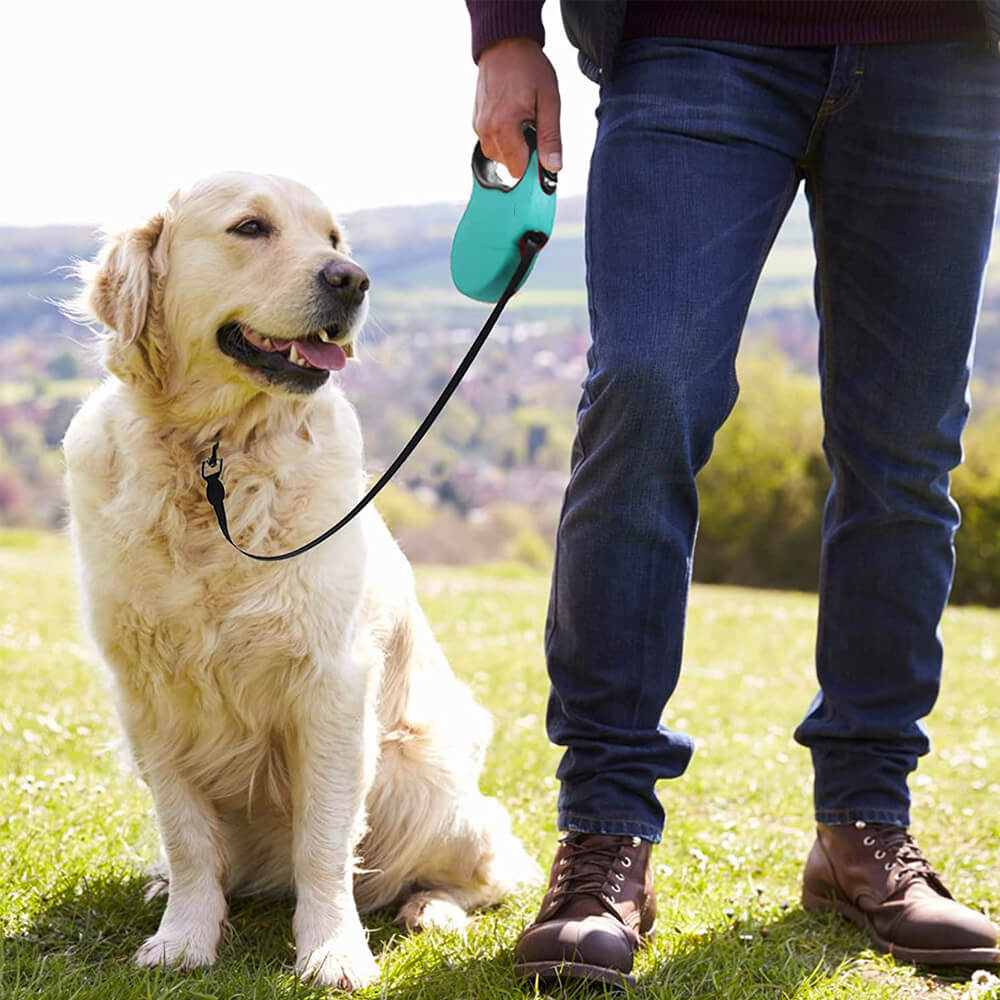 Dog Leash for Harness - 5 Meter Extension