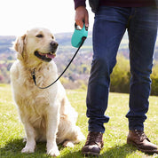 Dog Leash for Harness - 5 Meter Extension