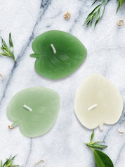 Candles in Leaf Shape - 6 Pieces