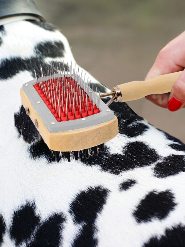 Cepillo de madera para perros con cerdas duras y suaves - Cepillo de doble cara