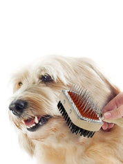 Wooden Dog Brush with Hard and Soft Bristles - Double Sided Brush