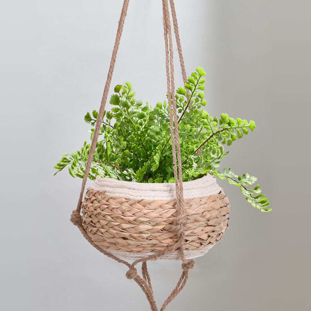 Eco lifestyle - ecolifestyle.shop This minimalistic modern planter is designed to look natural from your home’s ceiling. Made of eco-friendly materials. Add any plant inside this decorative flower pot. It is ideal for indoor decor and furniture or garden furniture. Materials: Seagrass & Jute Size of rope: 125cm Size of bowl: 28cm x 28cm x 15cm. Size planter: 28cm x 28cm x 125cm. 430000220 - 8719987424014