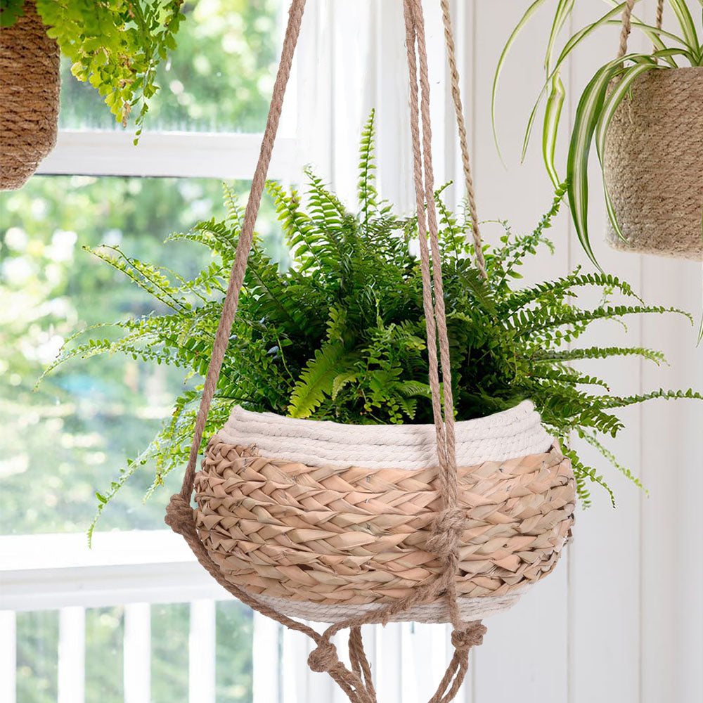 Eco lifestyle - ecolifestyle.shop This minimalistic modern planter is designed to look natural from your home’s ceiling. Made of eco-friendly materials. Add any plant inside this decorative flower pot. It is ideal for indoor decor and furniture or garden furniture. Materials: Seagrass & Jute Size of rope: 125cm Size of bowl: 28cm x 28cm x 15cm. Size planter: 28cm x 28cm x 125cm. 430000220 - 8719987424014