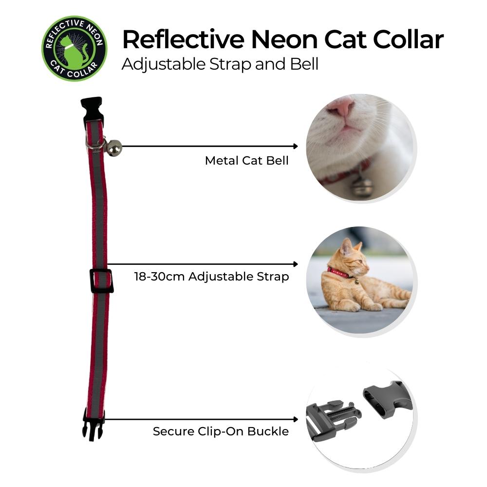 Cat Collar with Bell and Neon Light Reflection