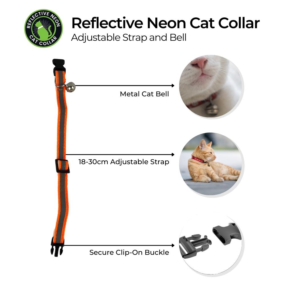Cat Collar with Bell and Neon Light Reflection
