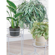 Flowerpot Holder Stand for 3 Plants - Metal - Foldable Design