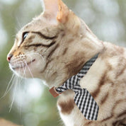 Pet Collar - Adjustable in Fabric Design